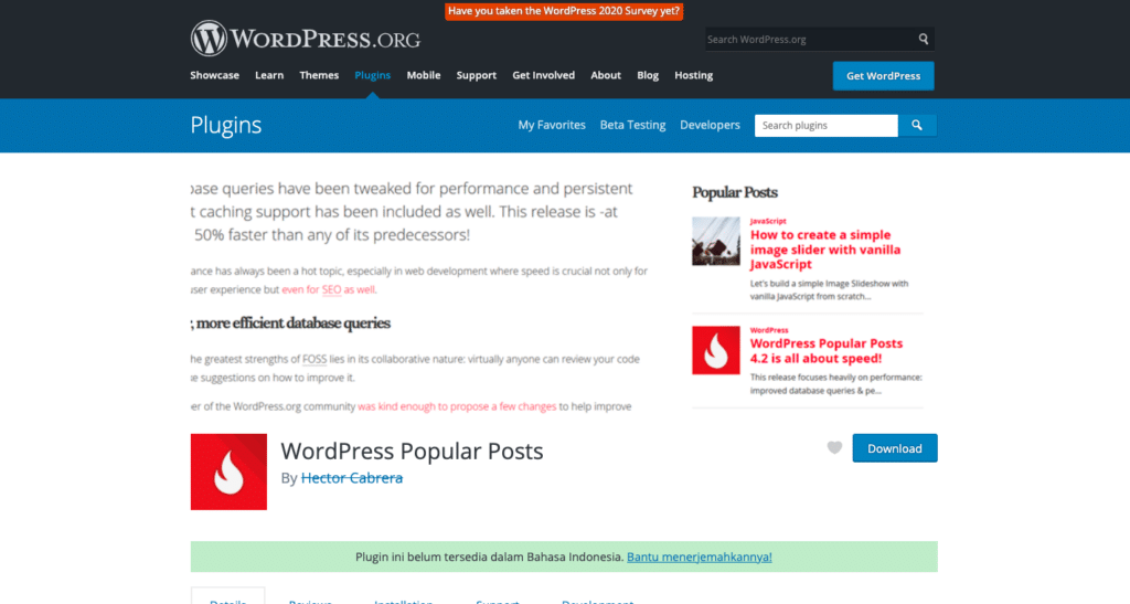 Mengatasi Masalah Kompabilitas Autoptimize dengan WordPress Popular Posts