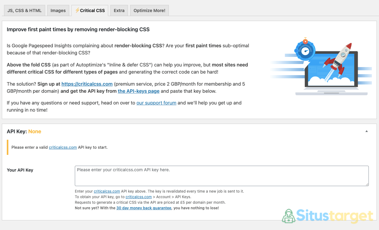 Optimasi Critical CSS Pada Plugin Autoptimize