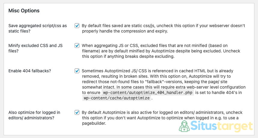 Pengaturan Pada Misc Options Plugin Autoptimize