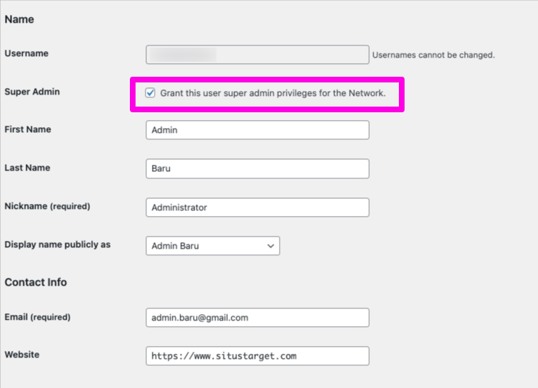 Cara Menambahkan Super Admin Di WordPress Melalui Kode Snippet 3 September 30th, 2026 • Blog Situstarget Panduan menambahkan super admin di WordPress Network