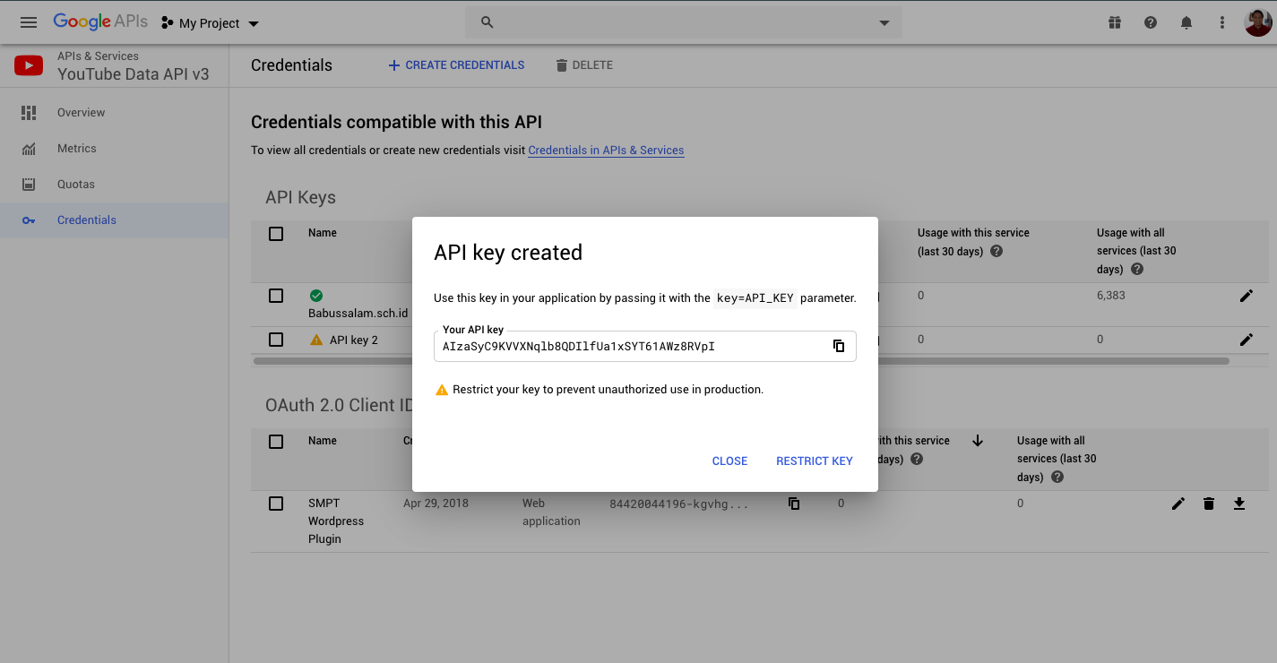 Tampilan API Key saat berhasil dibuat pada Google Console Developer.